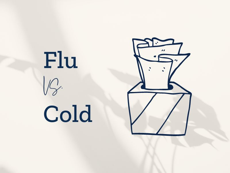 Life Extension, drawing of tissue box- Cold vs Flu